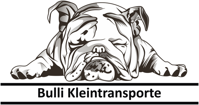 Bulli Kleintransporte